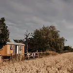 The Dragonfly Shepherds Hut