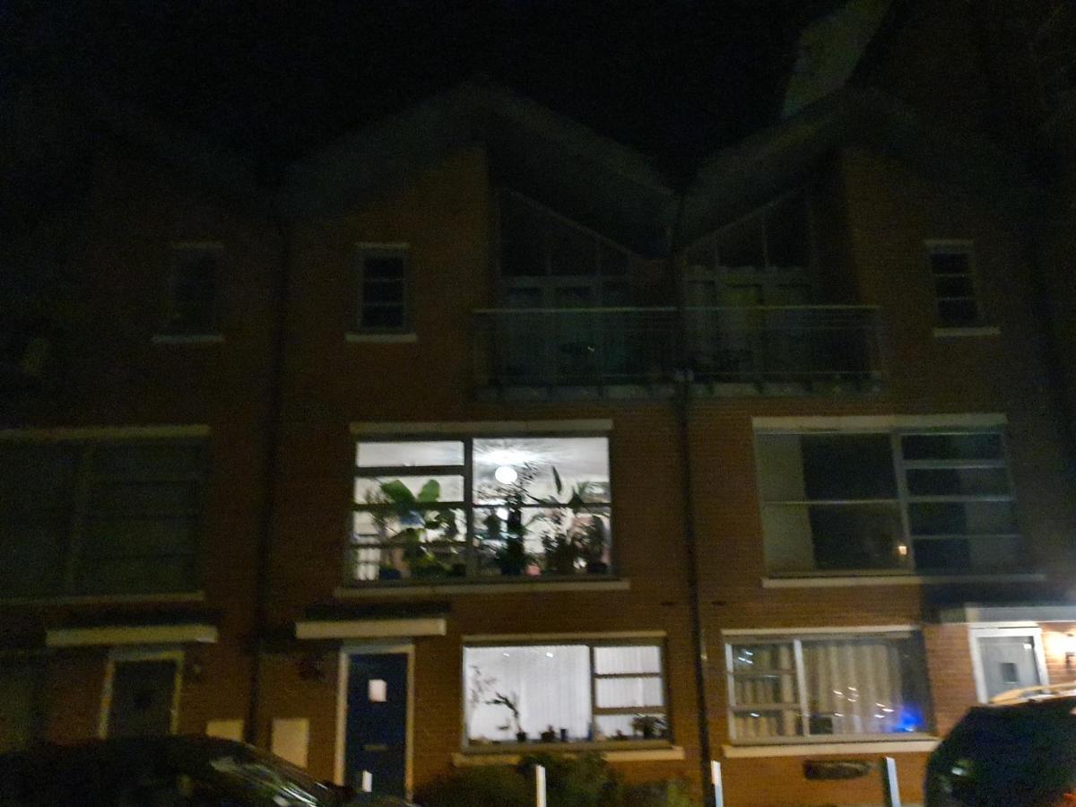 Vetrelax Colchester