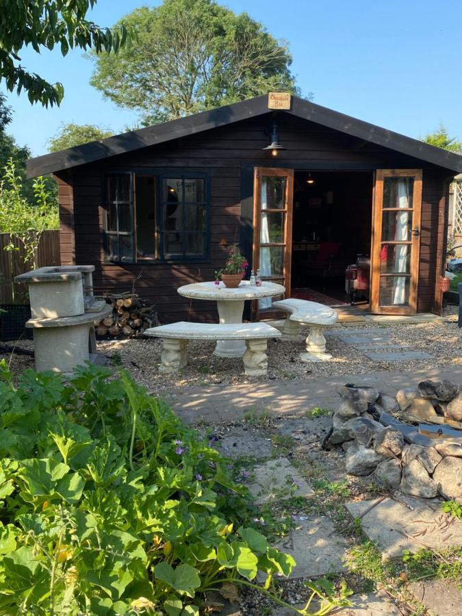 Bed & Breakfast Shrublands Garden Colchester