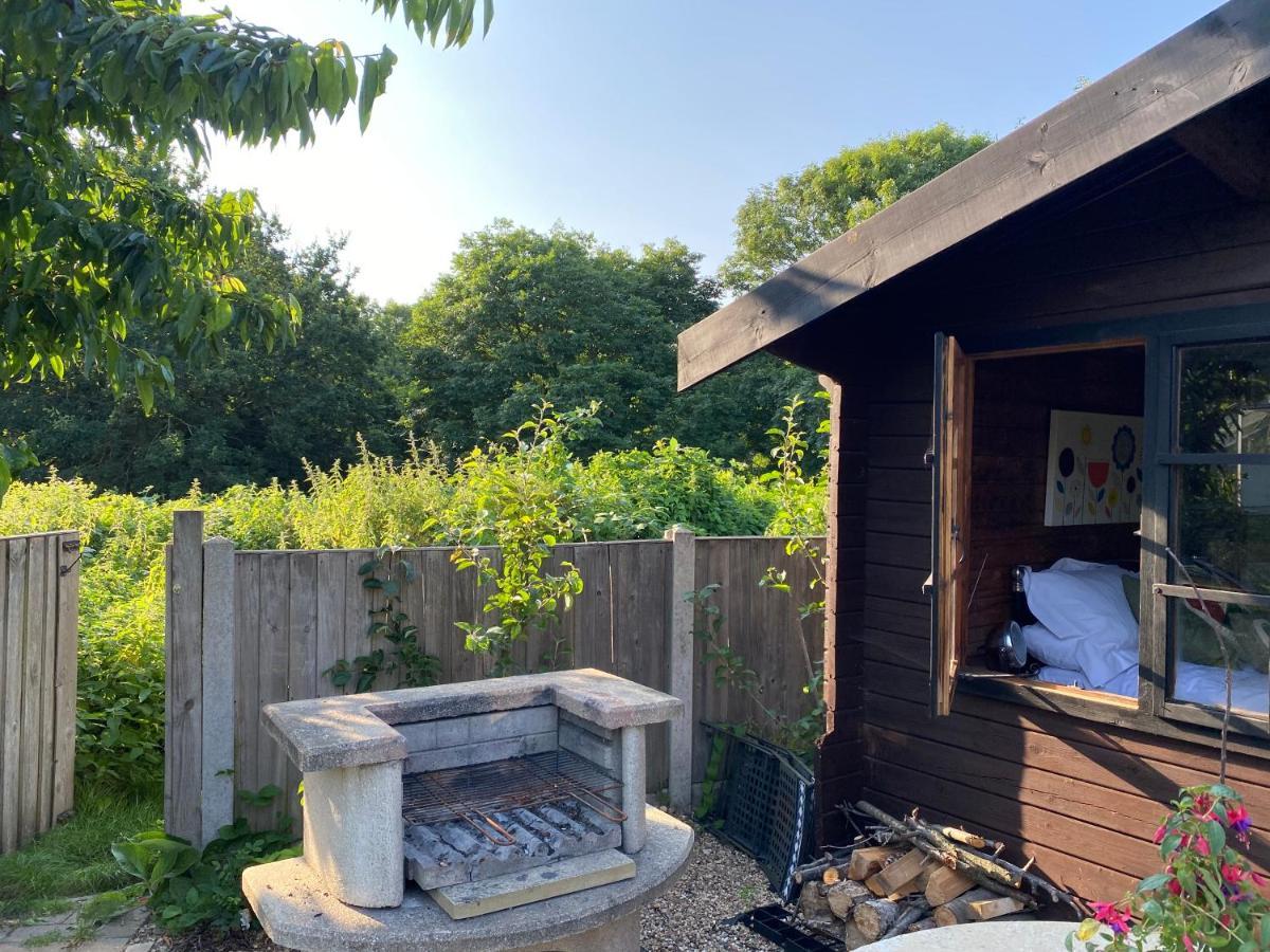 Bed & Breakfast Shrublands Garden *