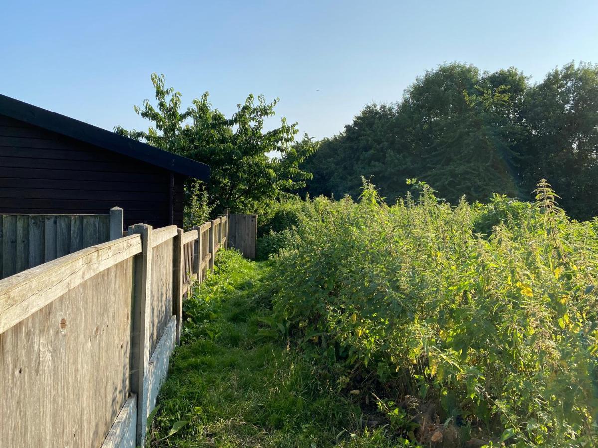 Bed & Breakfast Shrublands Garden Colchester