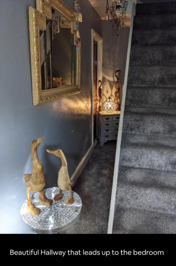 Quaint & Quirky House Town Centre Homestay Colchester