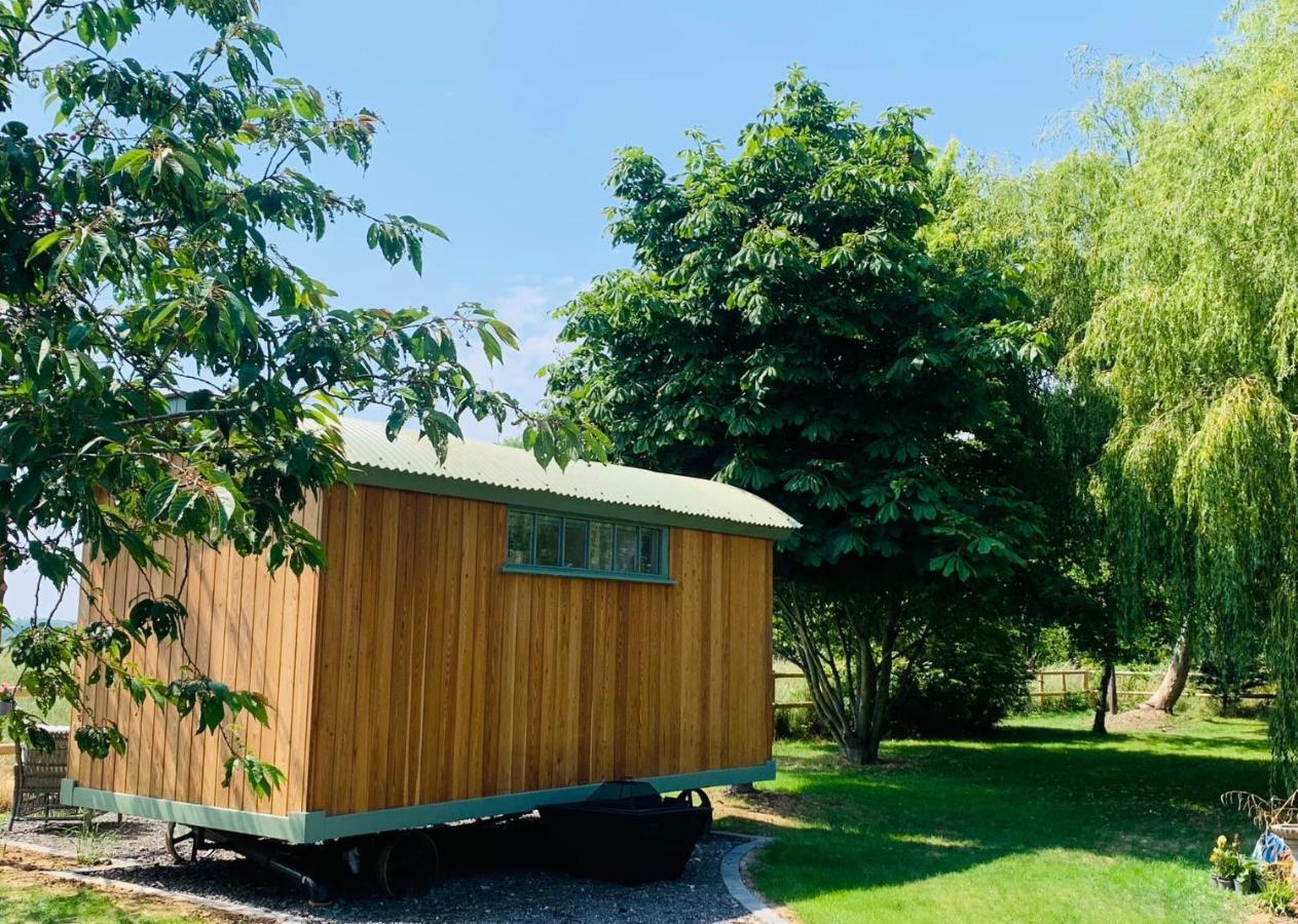 The Dragonfly Shepherds Hut Colchester