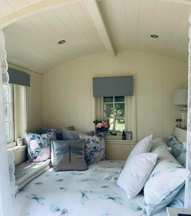 The Dragonfly Shepherds Hut Luxury tent Colchester