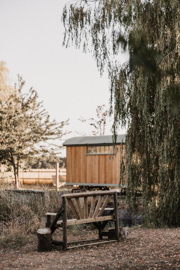 The Dragonfly Shepherds Hut Luxury tent