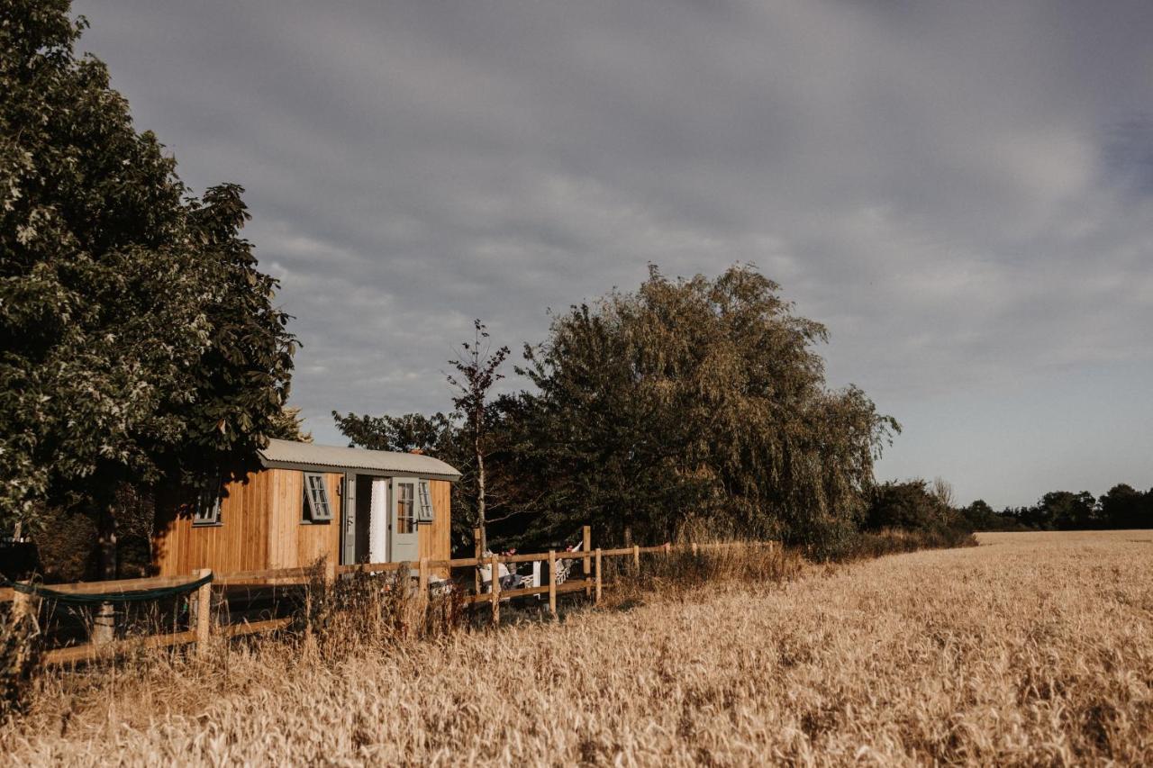 The Dragonfly Shepherds Hut Luxury tent Colchester