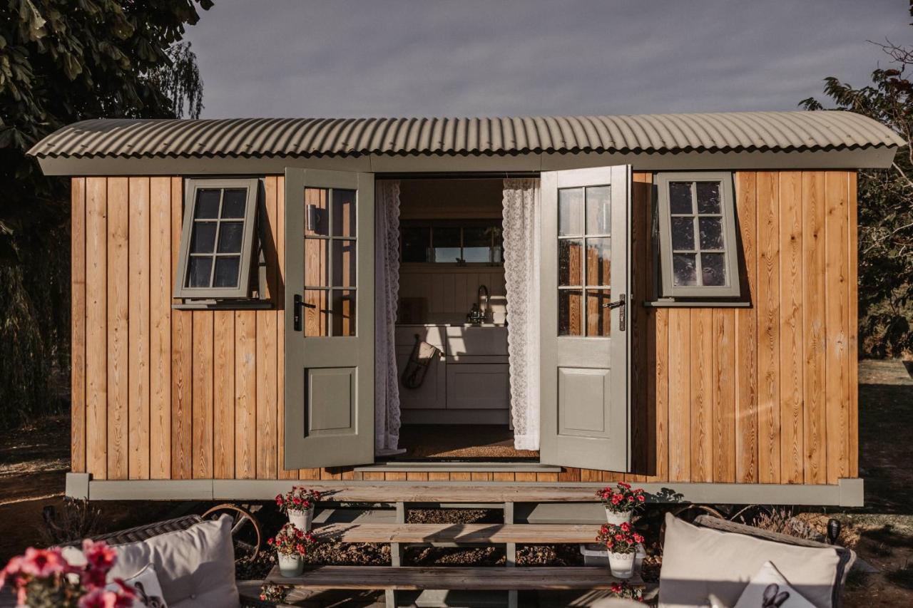 Luxury tent The Dragonfly Shepherds Hut Colchester