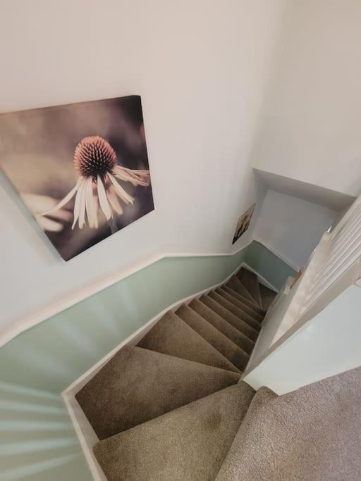 Kensington House- The Perfect For Contractor Holiday home Colchester