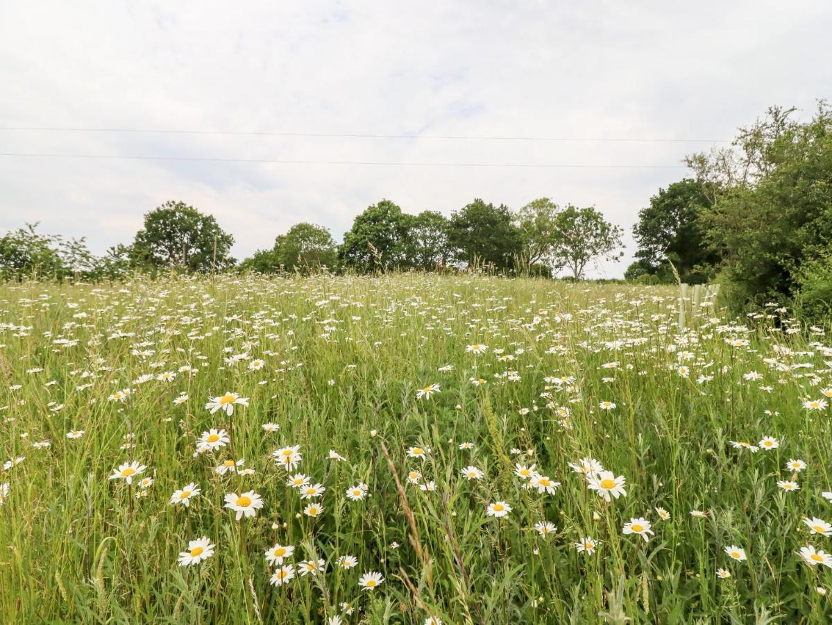 The Granary Holiday home Colchester