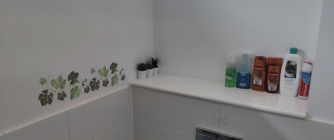 Cheerful House, Private And Private Shower/ Toilet. Comfortable King Size Mattress