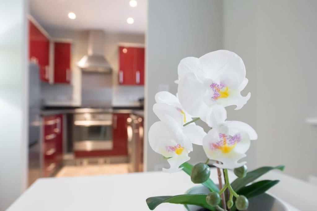 Space - Parking - Fast Wifi - 2 Double Bedrooms - Smart Tv