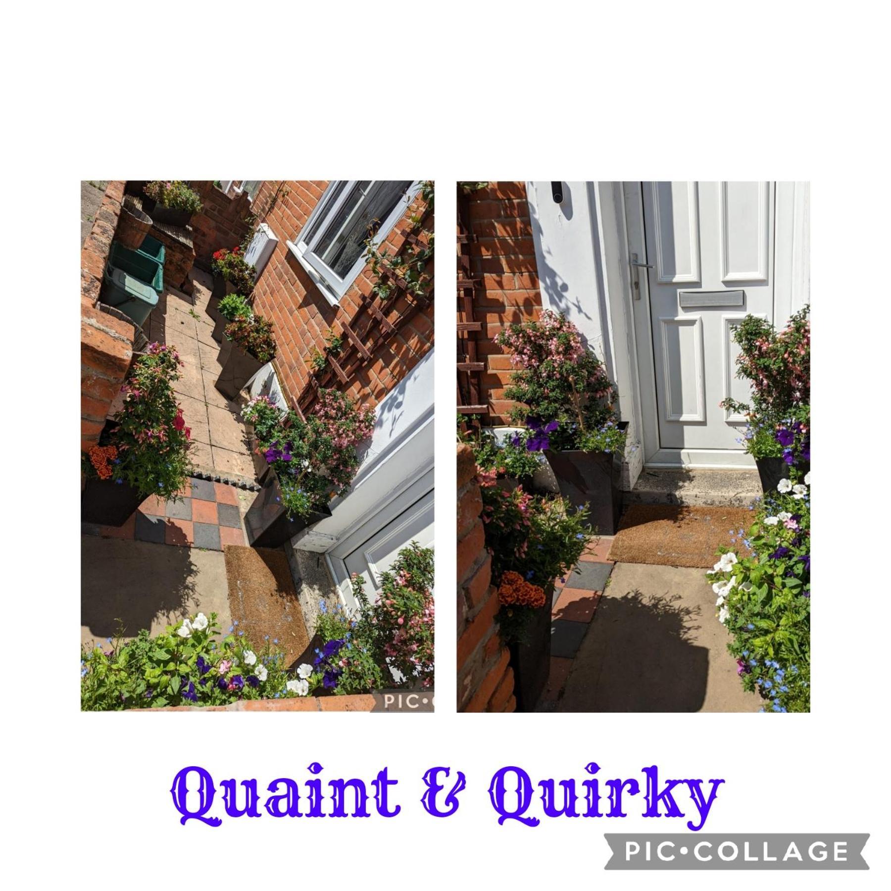 Quaint & Quirky House Town Centre Homestay *
