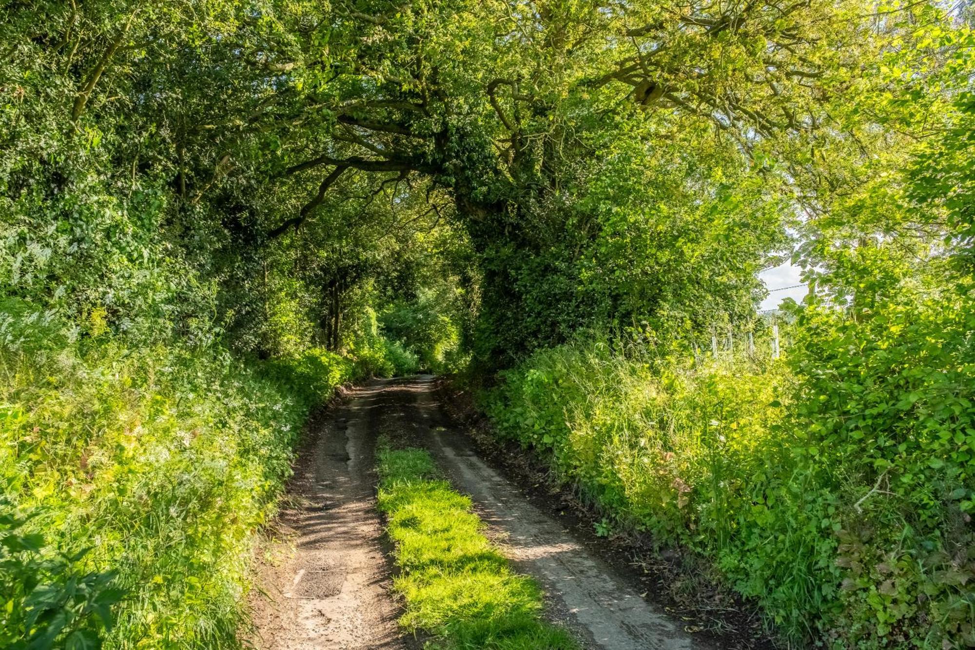 Rural Perfection In Constable Country - Beachams Colchester