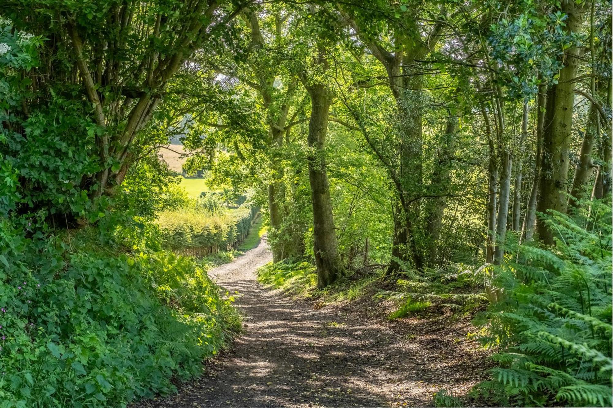 Rural Perfection In Constable Country - Beachams * Colchester