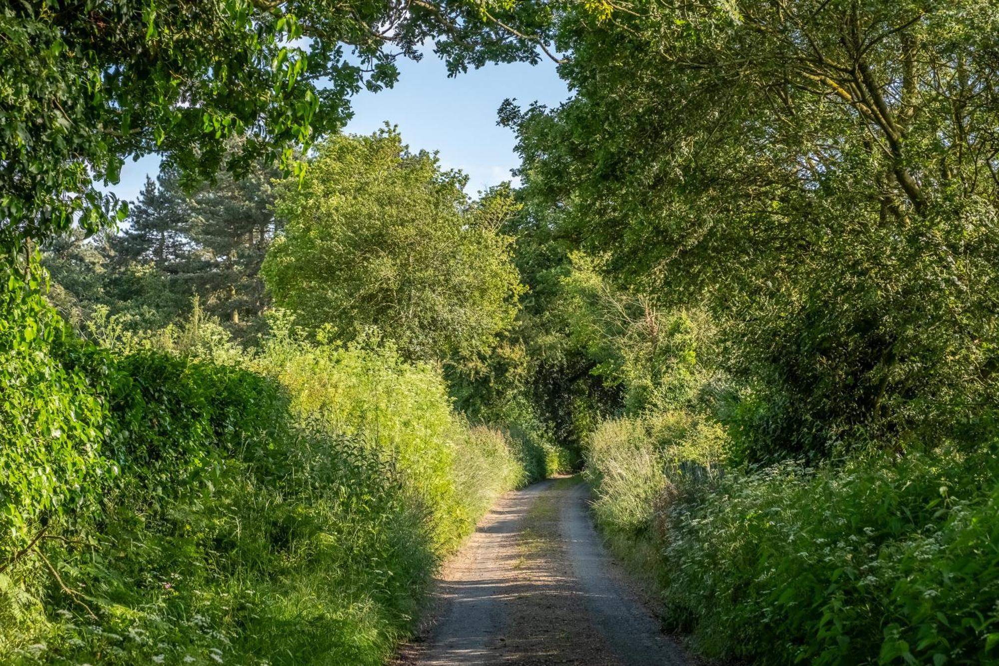 Rural Perfection In Constable Country - Beachams