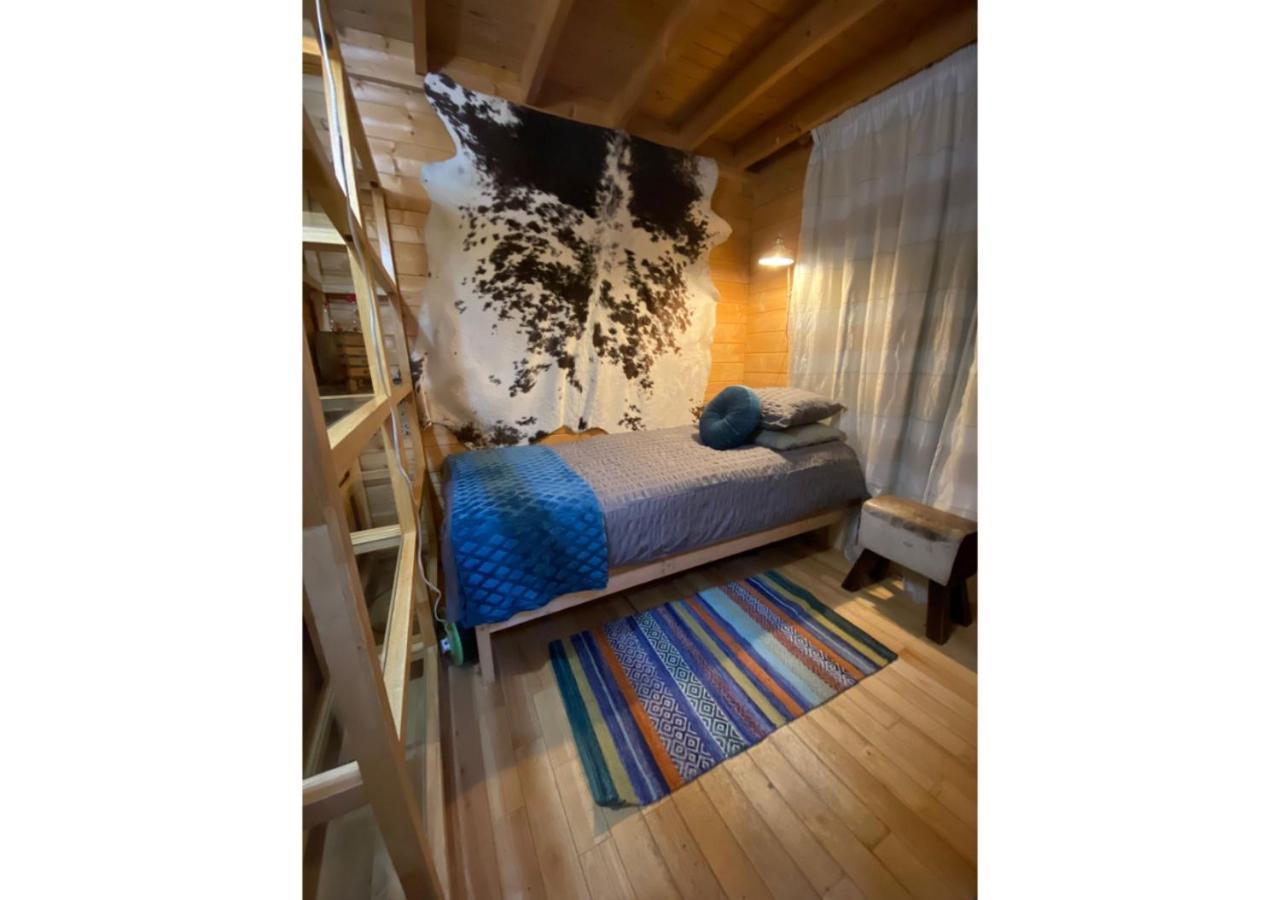 Holiday home Lilchester - Slice Of Heaven Hidden Away... Colchester
