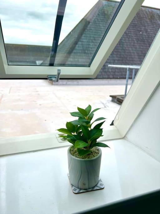 Apartment Rooftops - Quiet Cosy Pied-a-terre In The Heart Of *