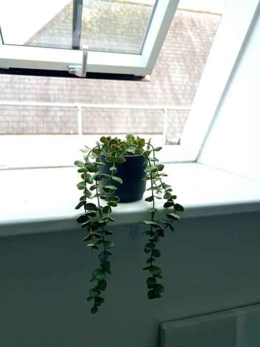 Rooftops - Quiet Cosy Pied-a-terre In The Heart Of * Colchester