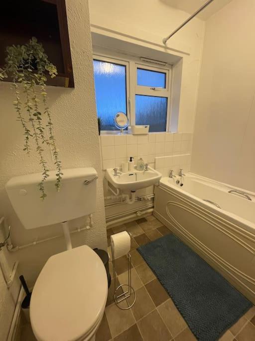 Professional 3-bed Flat Apartment Colchester