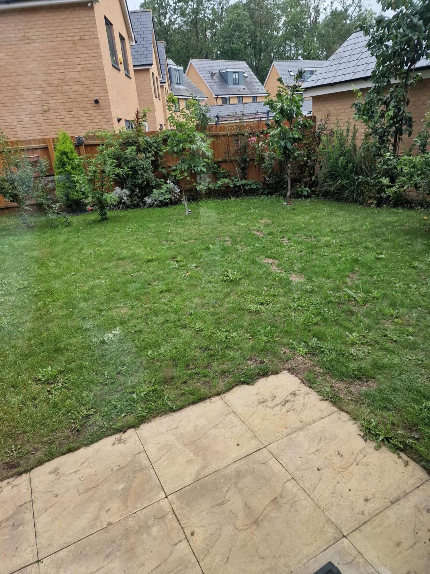 Homestay Paradise Colchester