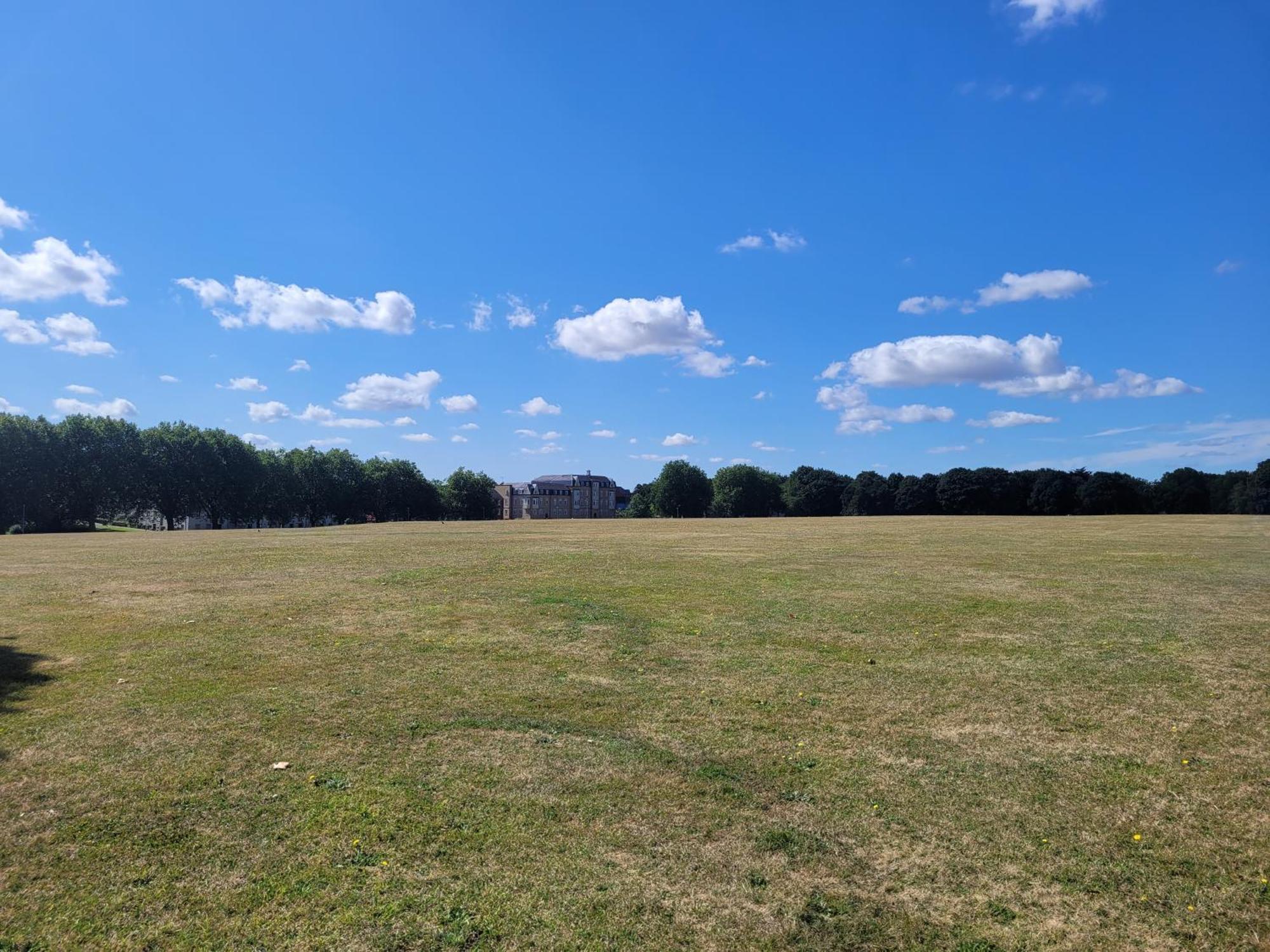 Catchpole Stays: Field View Near Centre