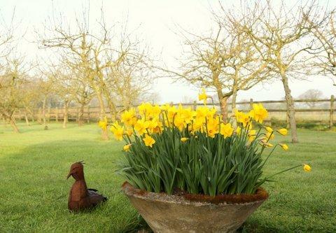 Pheasant Country house Colchester