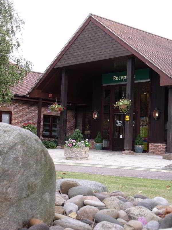 Hotel Holiday By Ihg 4*