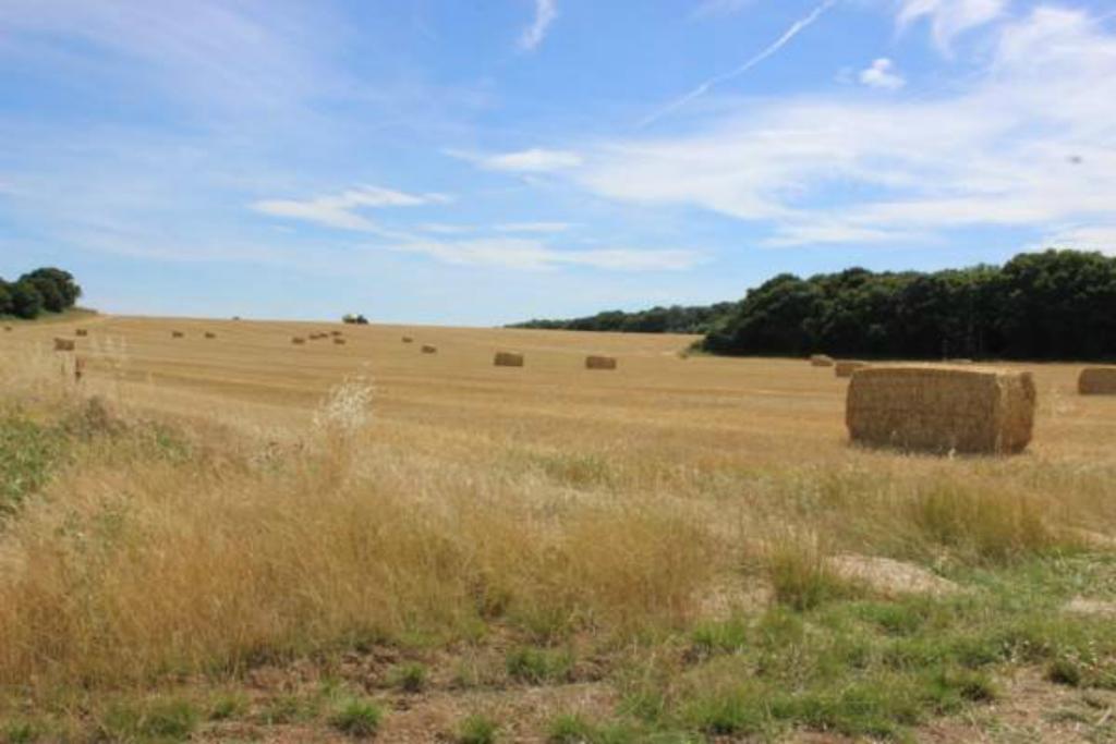 Rockinghams Pods * Colchester