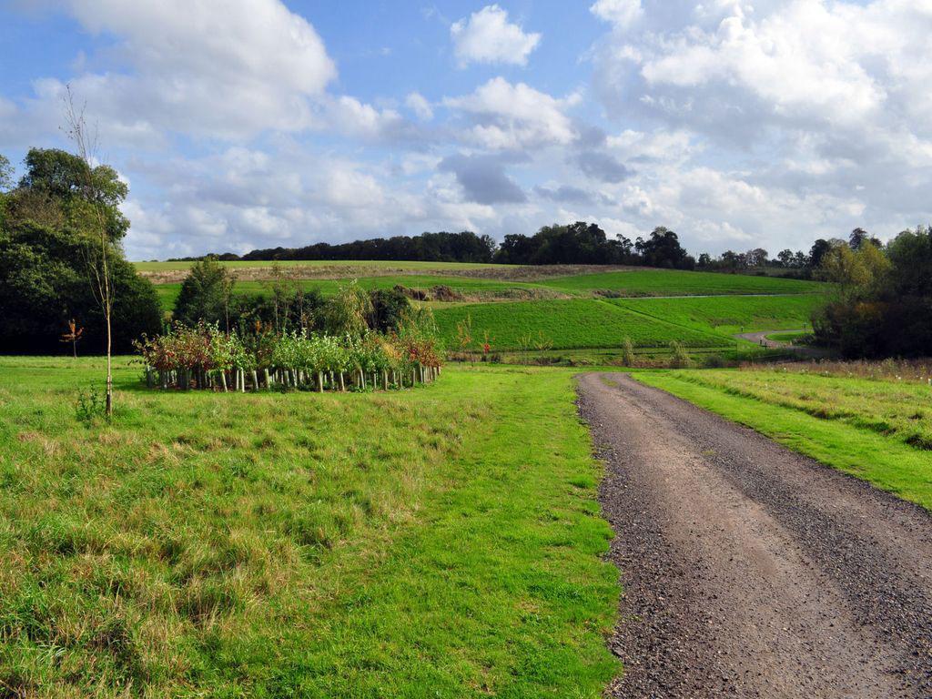 Brook Colchester