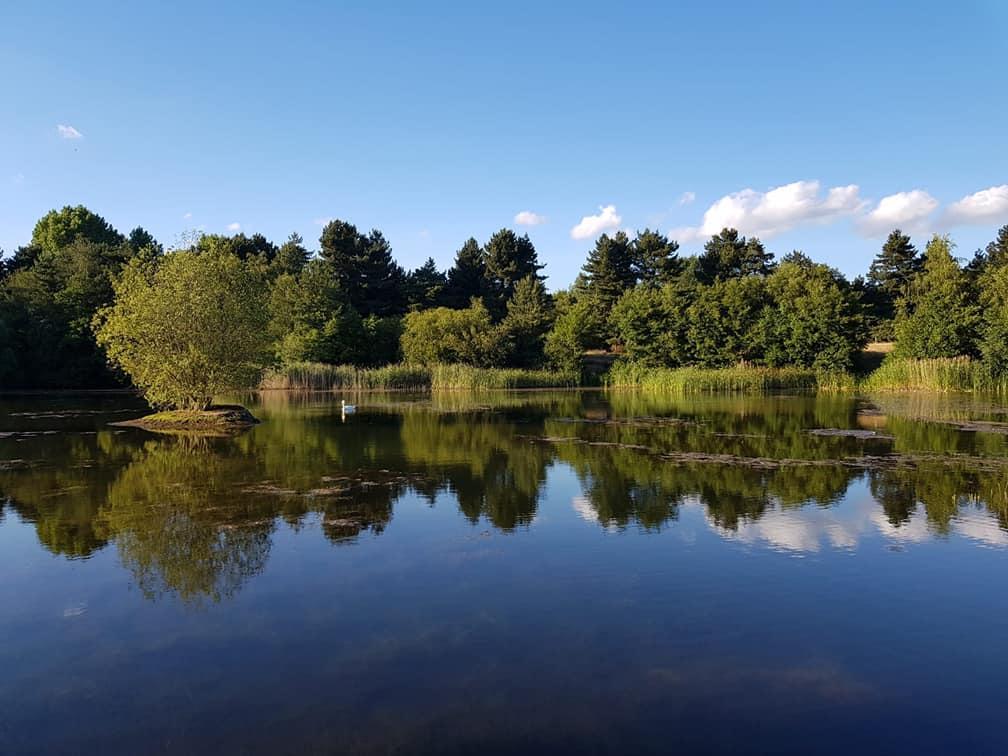 Plumptons Farm Lodge
