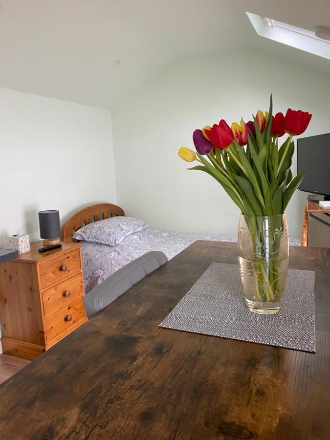 Cosy 1 Bed Garden Annexe * Colchester