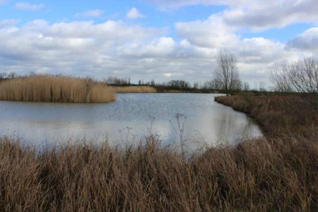 Campsite Rockinghams Pods Colchester